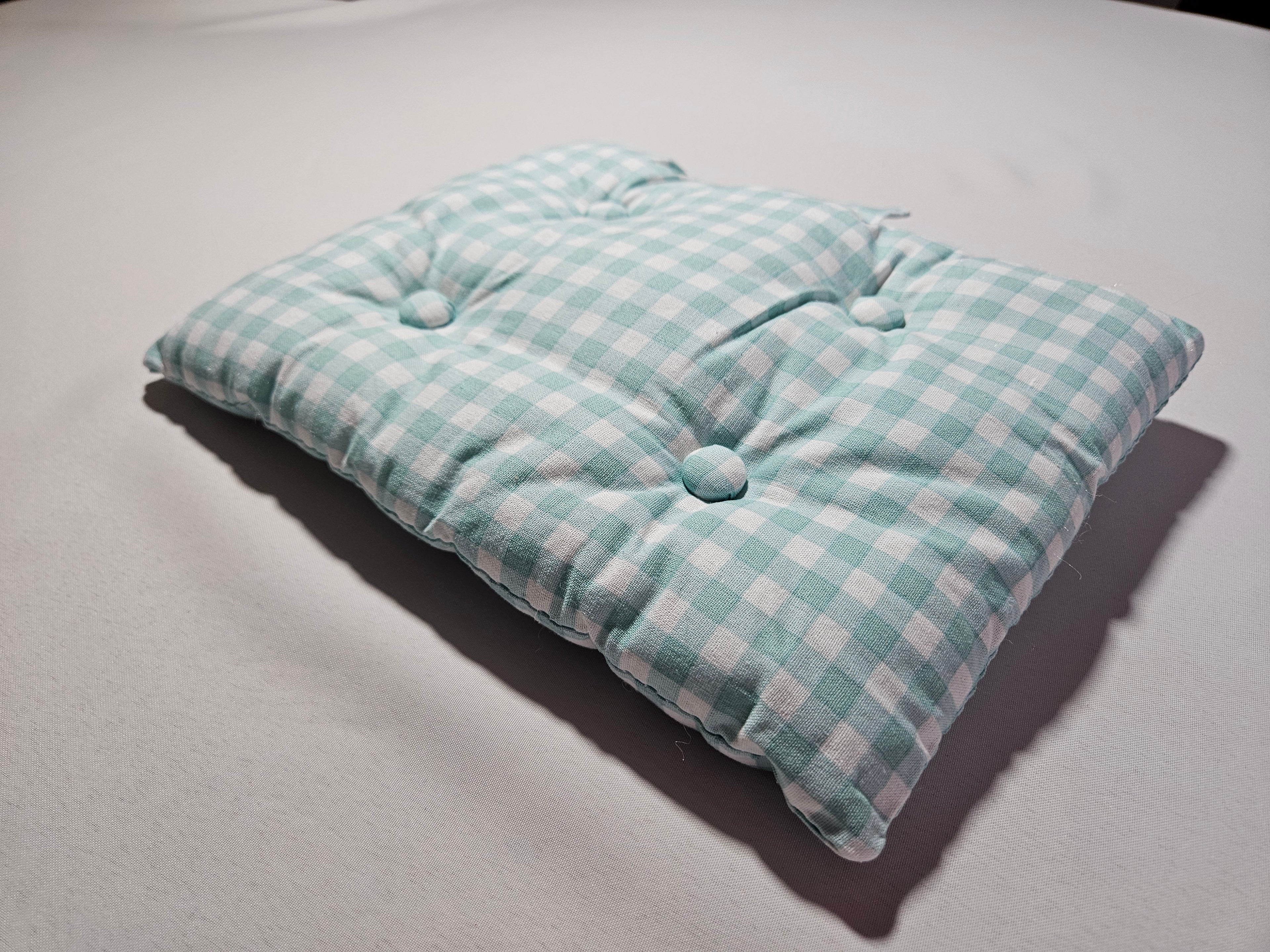 Mint Green Checker Cushion