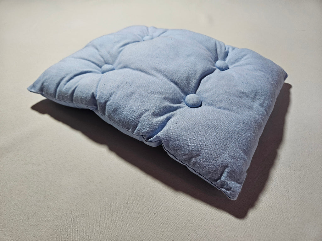 Solid Blue Cushion