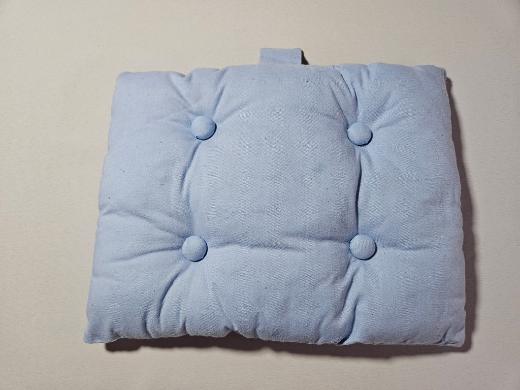 Solid Blue Cushion